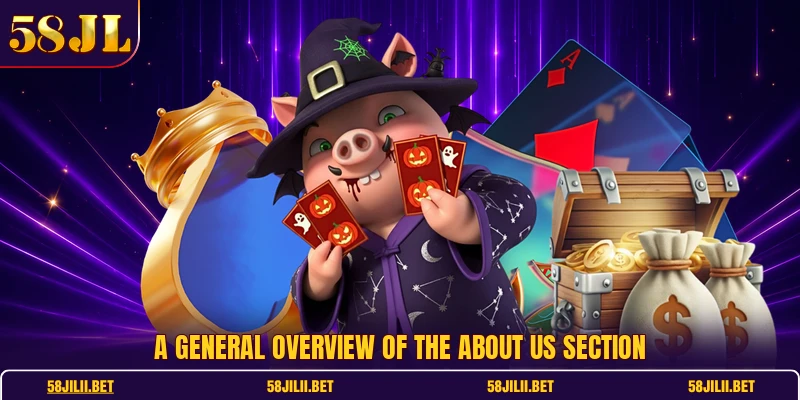 A general overview of the About Us section