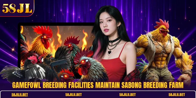 Gamefowl breeding facilities maintain sabong breeding farm