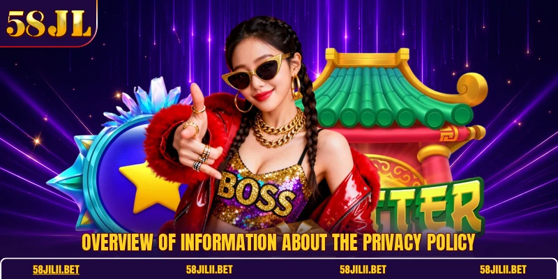 Overview of information about the privacy policy
