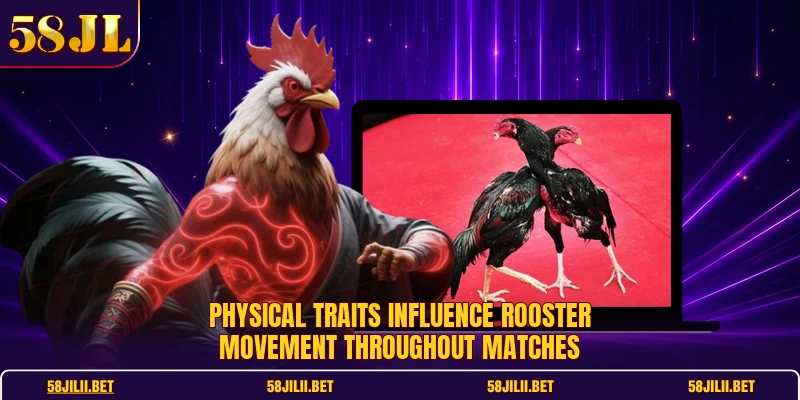 Physical traits influence rooster movement throughout matches