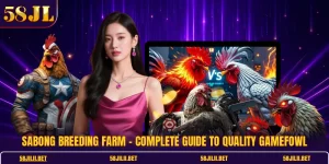 Sabong breeding farm